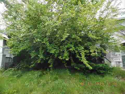 12331 Cherrylawn (2)_m.jpg